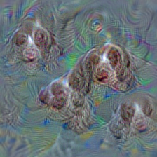 n02101556 clumber, clumber spaniel